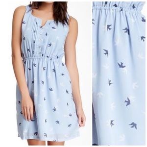 Blue Bird Print Dress | Daniel Rainn